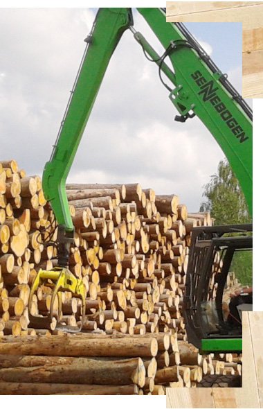Holz lebt - ein echtes Naturprodukt Holz lebt - ein echtes Naturprodukt